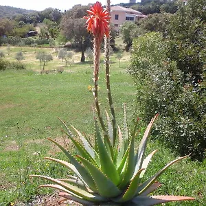 https://agriturismo-valverde-di-naitana-rita.in-sardinia.net